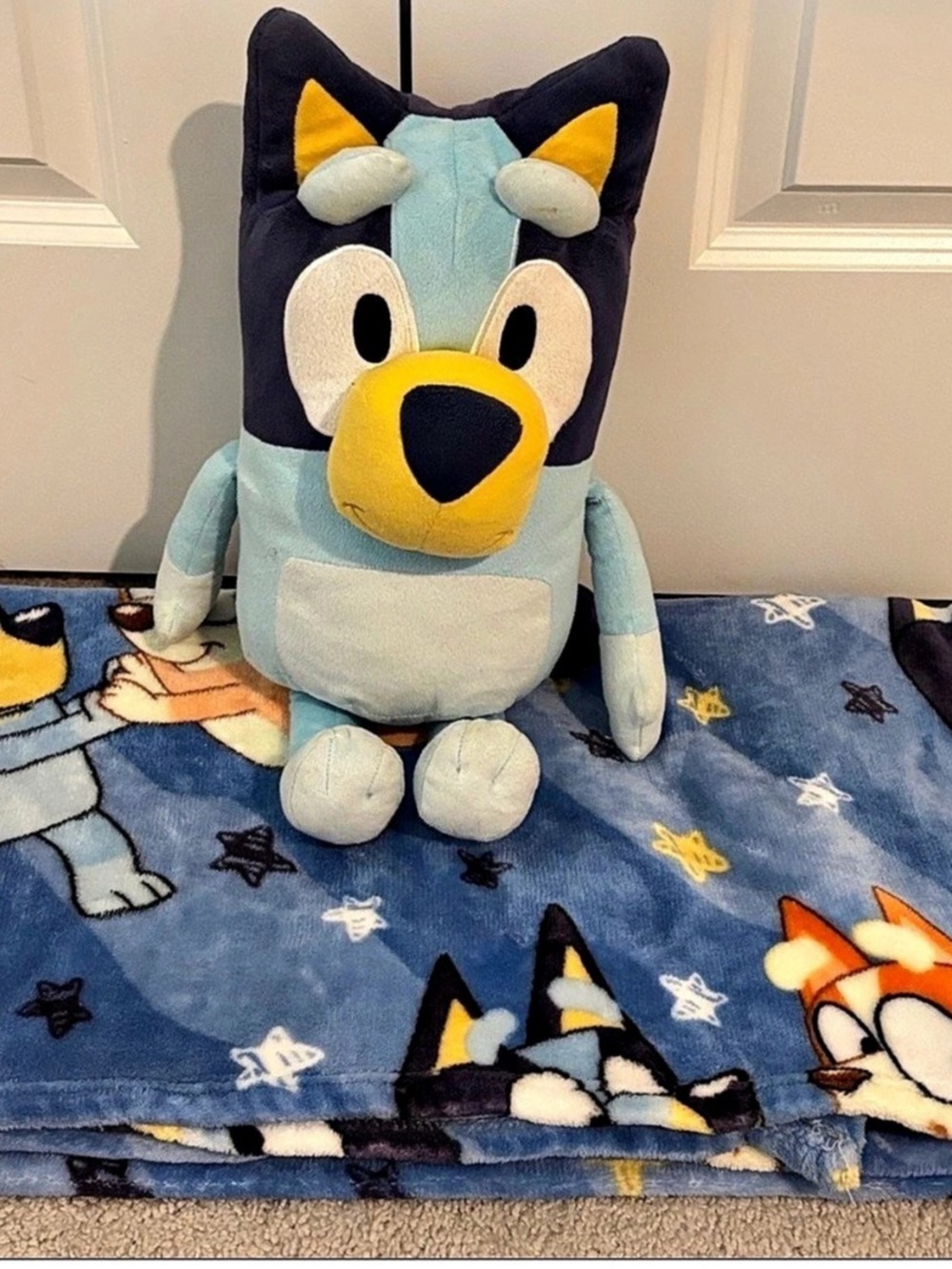 Bluey Character Pillow and Throw Blanket Set